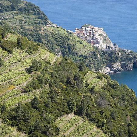 Pet Friendly Apartment In Monterosso With Wifi Monterosso al Mare Dış mekan fotoğraf